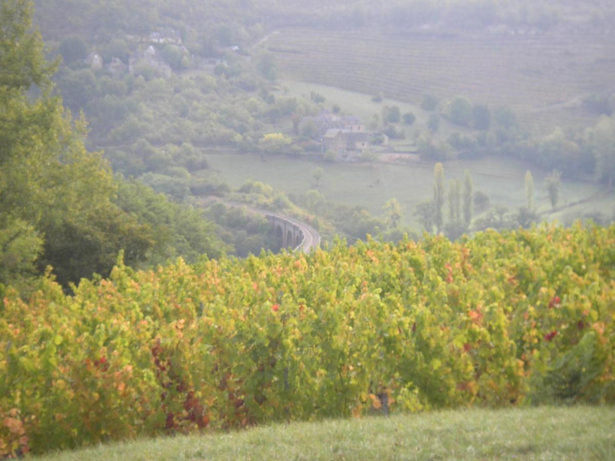Maison Isolee Dans Les Vignes Et Les Bois Valady Экстерьер фото